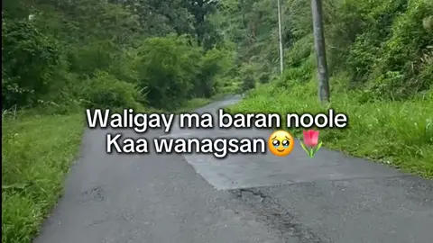 lovv iiisaarrr😂❤️