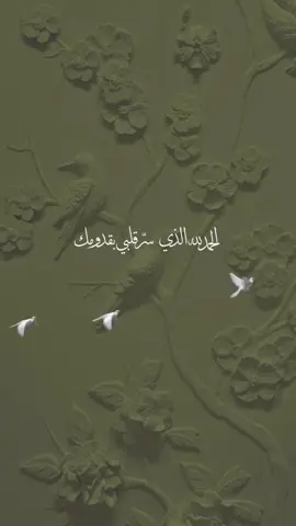 بشارة مولود بيبي عبدالرحمن 🤍 #بشارات_مواليد #بشارات_الكترونيه #دعوات_الكترونيه #دعوات_مواليد #بشارة_مواليد 
