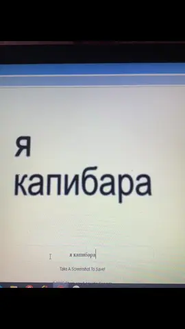 #капибара