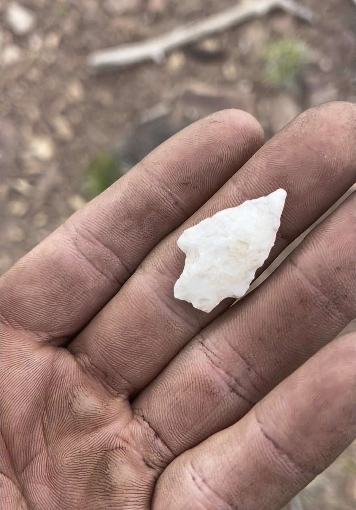 My first arrowhead! Must be a good spot!🏹 #arrowhead #nativeamerican #fyp #History 