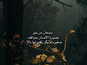 سبحان من ينير بصيـرة الأنسان بمواقف صغيره لم يگن يلقي لها بالأ.  #تصميم_فيديوهات🎶🎤🎬  #اللهم_صلي_على_نبينا_محمد  #viral  #fyp  #fypシ  #fypシ゚viral🖤tiktok  #مشاهداتي  #صعدو_الفيديو  #اكسبلور  #شعب_الصيني_ماله_حل😂😂 