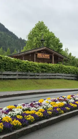 أجمممل كوفي بالدنيا🌿📸🤎🤎🤎#austria🇦🇹🇦🇹 #explorepage #fyp #explore #foryou 