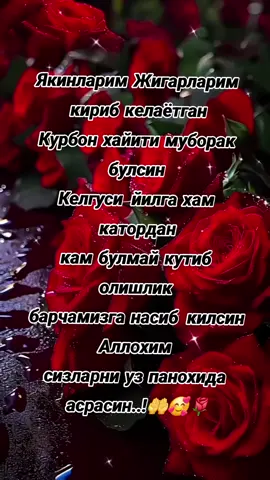 @Shukron.01 @Yolgiz qiz @Akraman@Uzgen kabutar million.01 @🥰#София#🥰🥰@Marguba Azimova @муслима90 