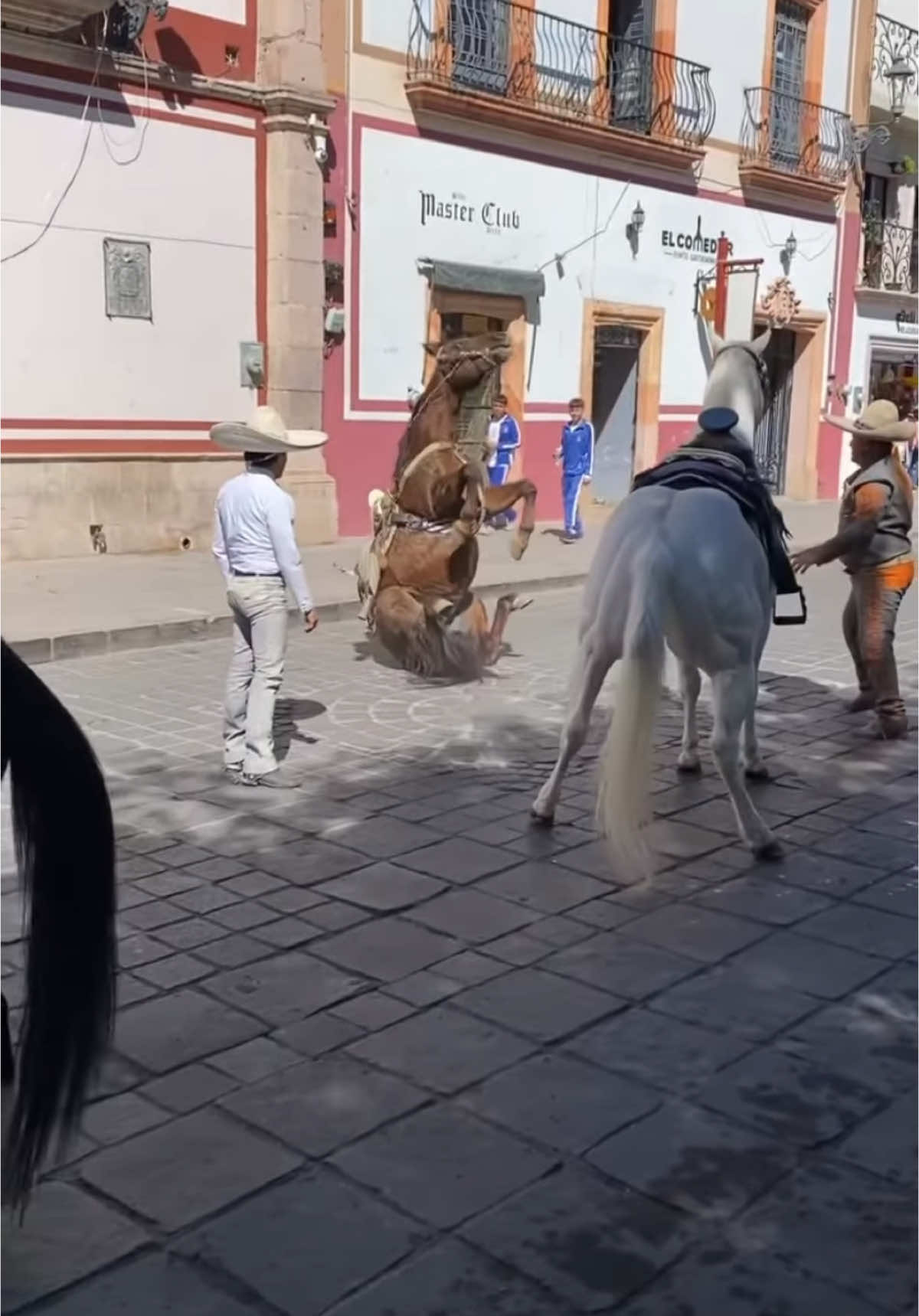 Cayó bien sentado el caballo 