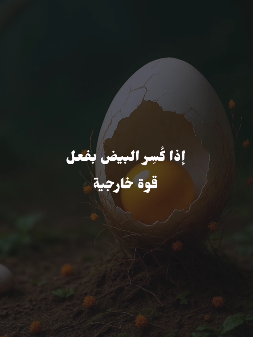 قوة الذات📝