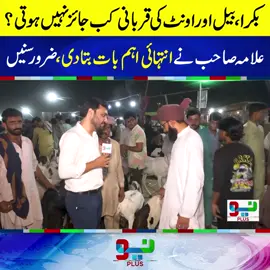 بکرا ، بیل اور اونٹ کی قربانی کب جائز نہیں ہوتی؟ #foryou #fyppppppppppppppppppppppp #foryoupage #neonews