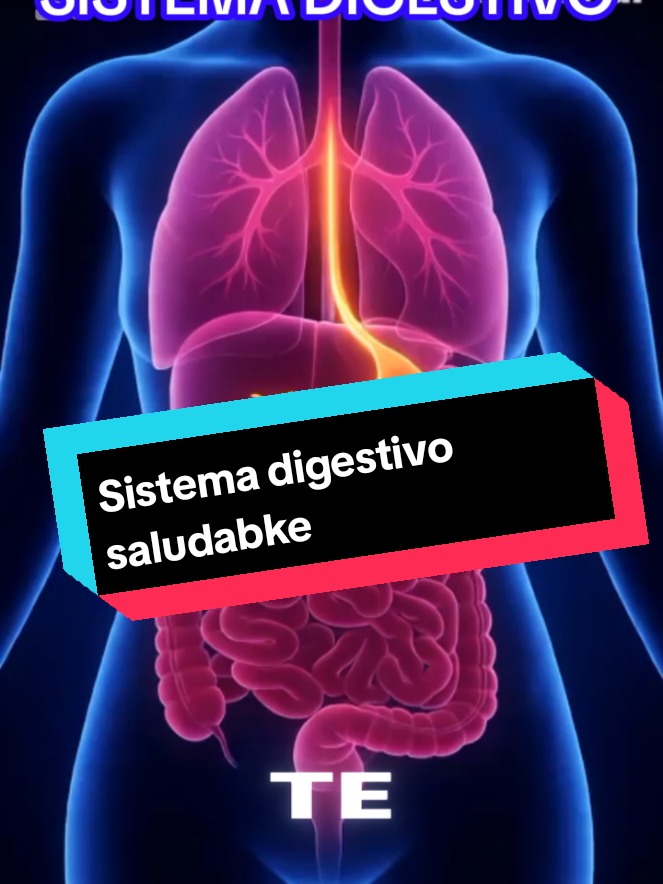 Hazle un detox a ru cuerpo y empieza a sentir la diferencia. Tu salud empieza desde adenteo y tu lo sabes #limpiezadigestiva #saluddigestiva  #bienestartotal #cuidatucuerpo #estadosunidos🇺🇸 #mexico 