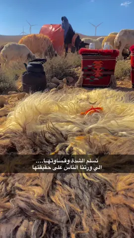 #الشعب_الصيني_ماله_حل😂😂 