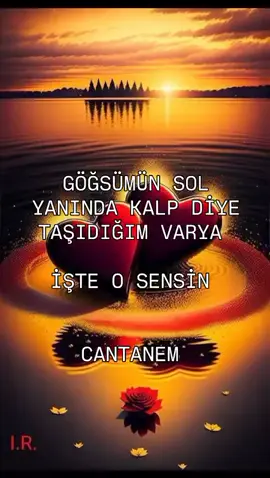 keşfet #keşfetteyizzz #keşfetedüş #keşfetbeniönecikart 
