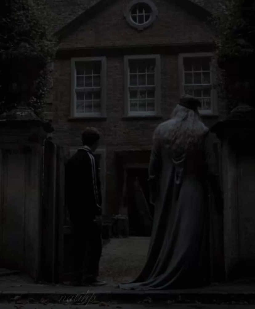 hbp have my heart || I swaer I will change editing the same movie ahhahahah || #hogwarts #goldentrio #harrypotter #aesthetic #edit #viral #deatheater #hbp #dark #potterhead #magic #castle scp: @𝑨𝑬𝑿𝑷𝑬𝑪𝑻𝑶𝑿 