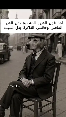 #للشعب_الصيني_ماله_حل😂😂 #كلبشتاين 