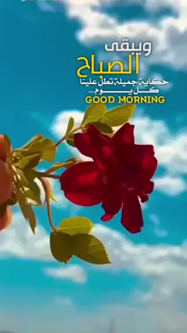 هذا اليوم #في هذا اليوم 