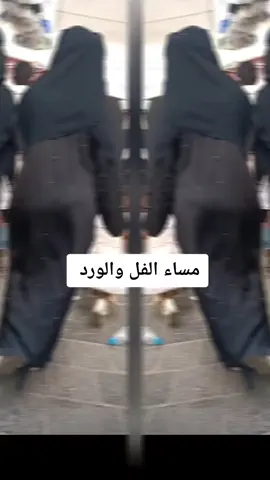 اكسبلووووررررر####