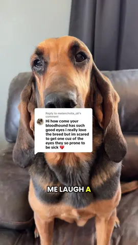 Replying to @melancholia_oli Actually…. 🧑‍🦯