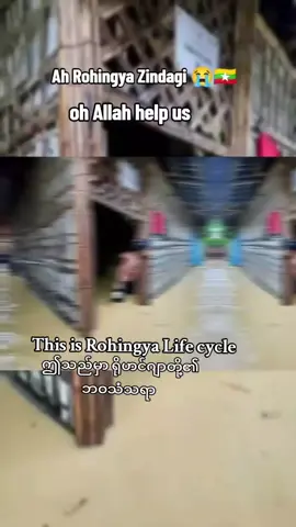 #sadstory #rogingya #life #cycle #fyp #foryou #fyppppppppppppppppppppppp #sadstory #cycle ##followmemore ##1millionview #unfrezemyaccount🥺🙏 #