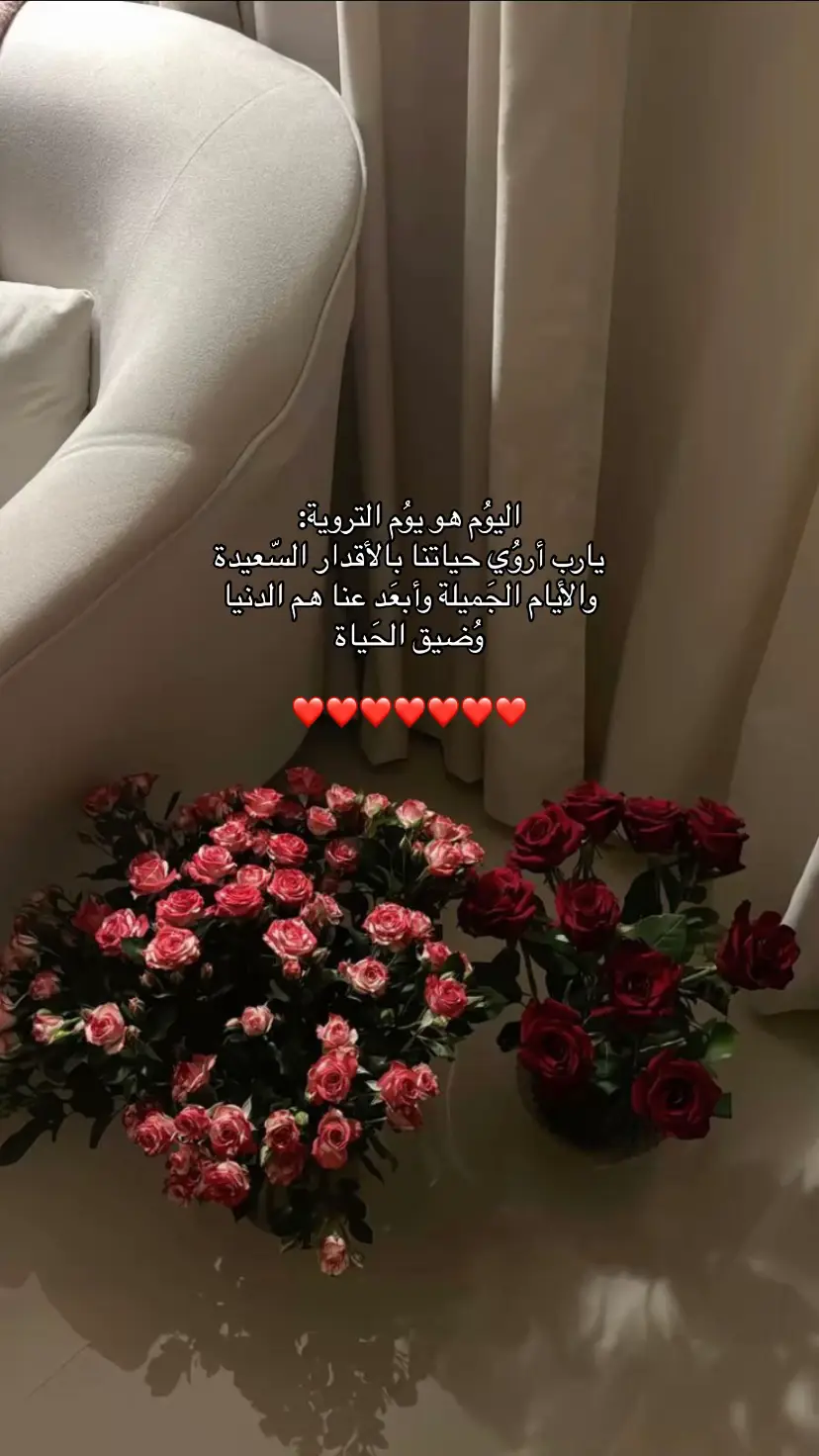 #عشر_ذي_الحجة #صدقة_جارية #يوم_عرفة #اذكروا_الله_يذكركم #viral #foryou #قران_كريم #fy 