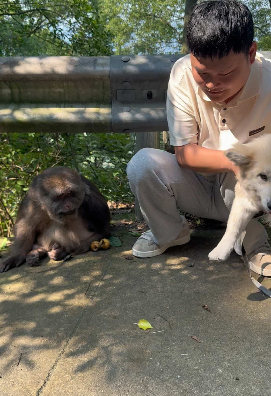 xingxing with her friend  #monkey #monkey #xingxing #cute #lovely 