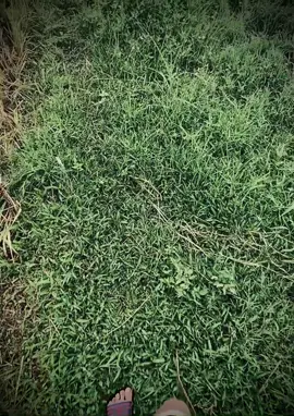 一万人宠爱，不等于一个懂人，一万个追求者，不等于一个爱人。 ”Vạn người nuông chiều không bằng một người thấu hiểu, vạn kẻ theo đuổi không bằng một người yêu thương.”