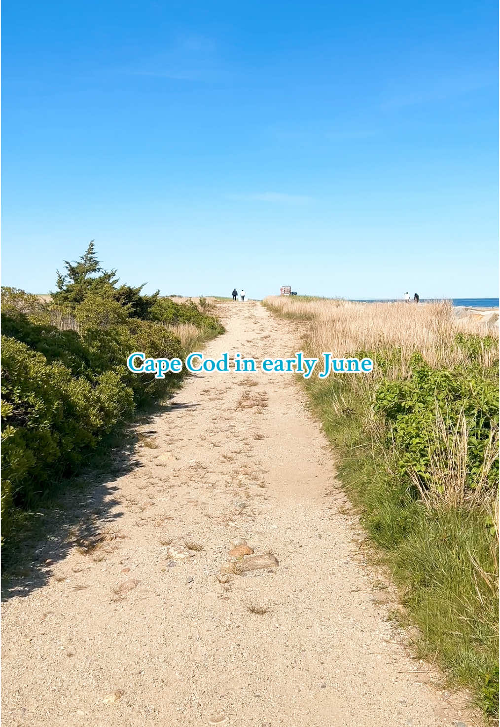 #Summer #capecod 