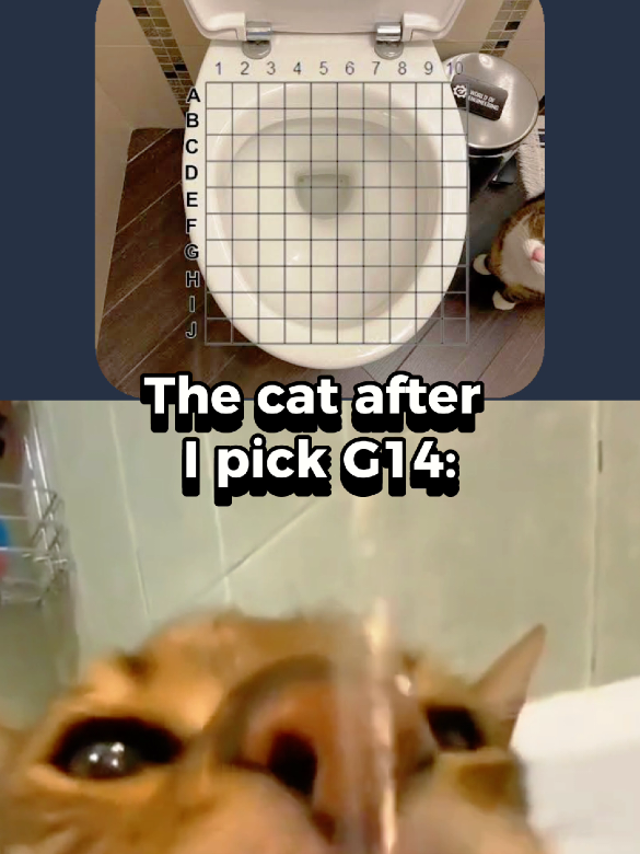The perfect aim 🎯 #memes #funny #viral #fyp #cat #piss #toilet 