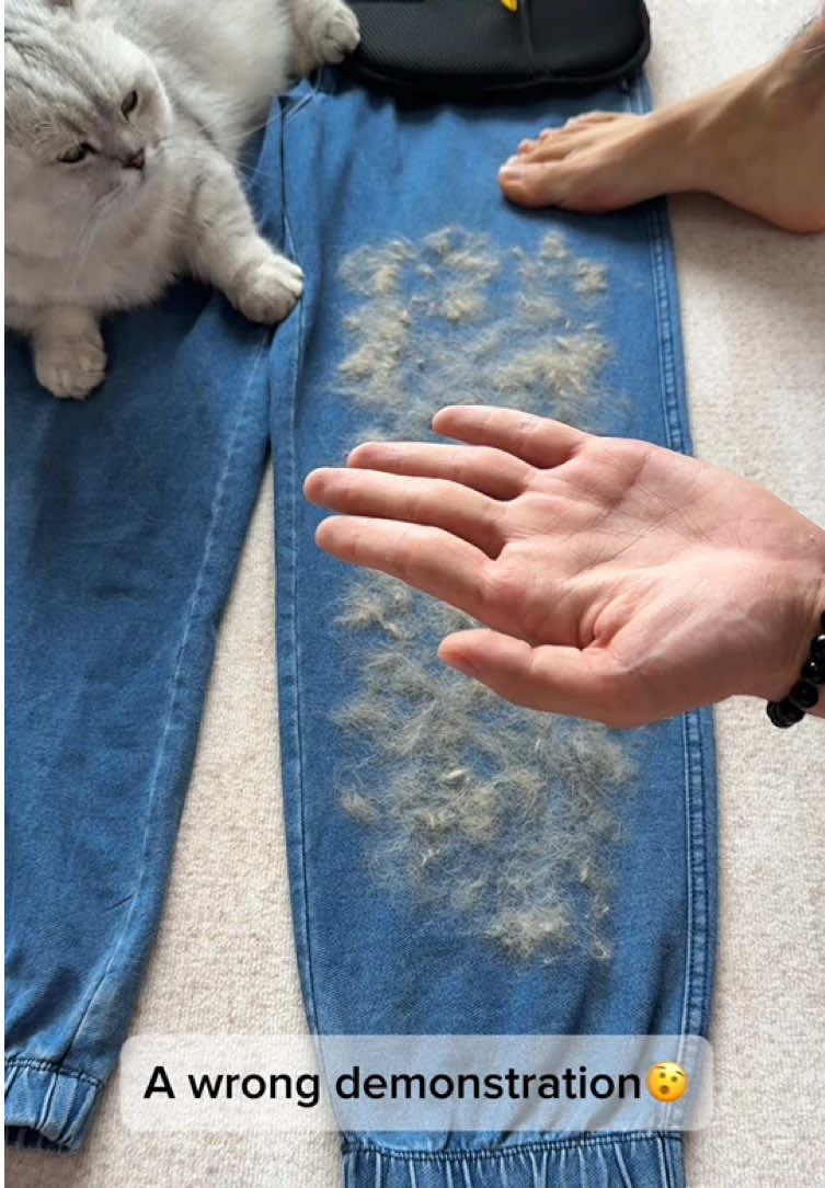 Choose the best pet hair cleaner👋#pethairremover #pethairremoval #petproducts #tiktokmademebuyit #fyp #usa 