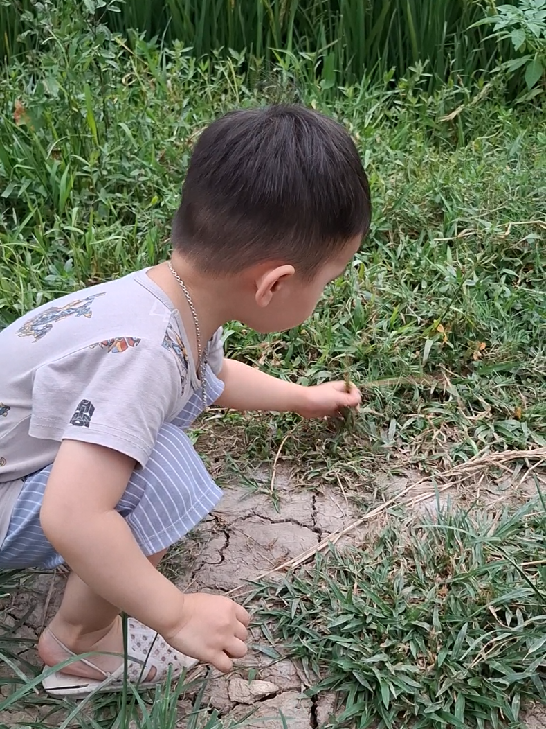 Em bắt đầu xây kênh còn hơn 800fl nữa thôi.  cố lên #tren #xâykenhtiktok #lênxuhướng #xhuongtiktok 
