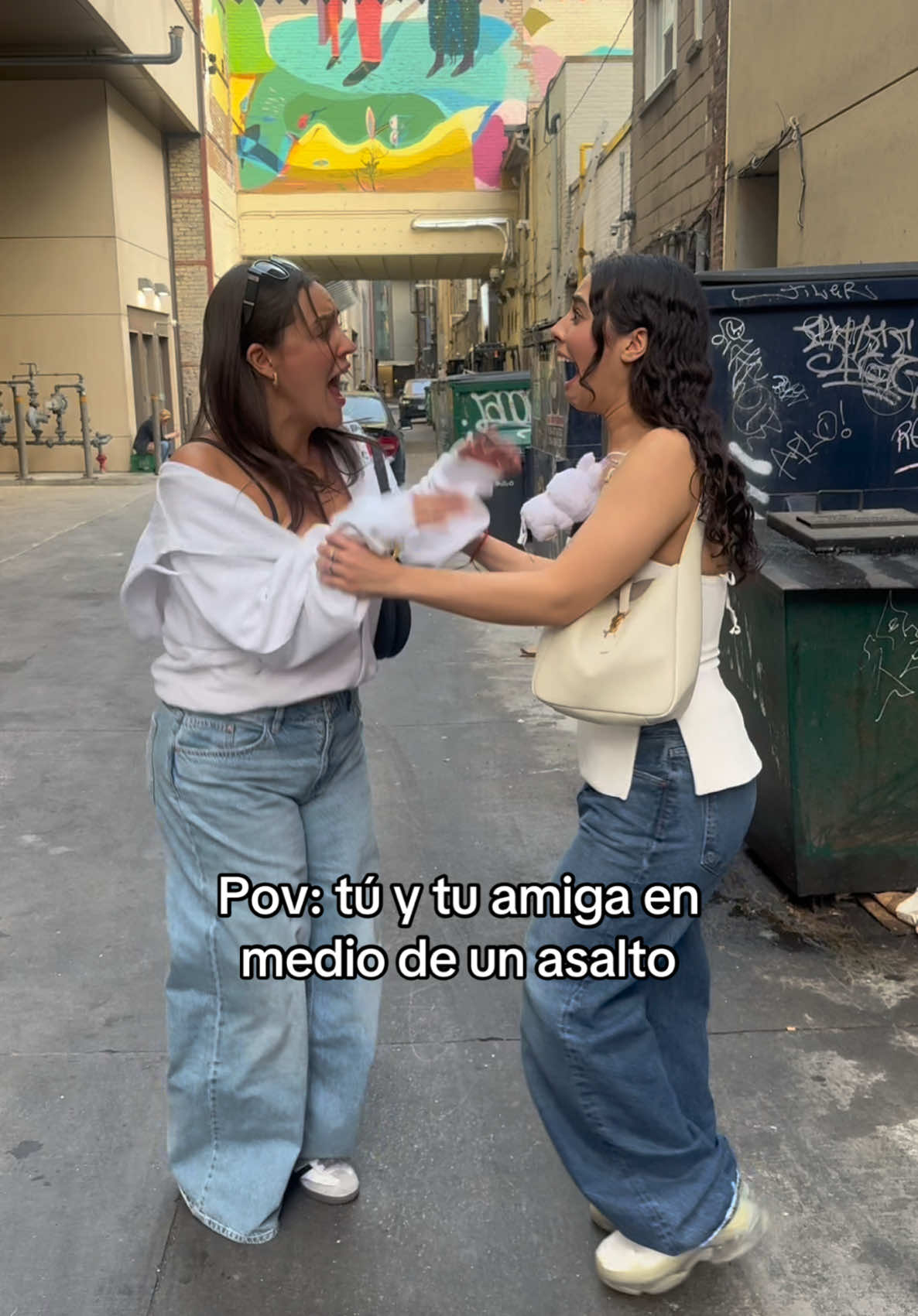 Miedo nos tendría que tener el asaltante a nosotras #humor #comedia #amiga #pov #amigos 