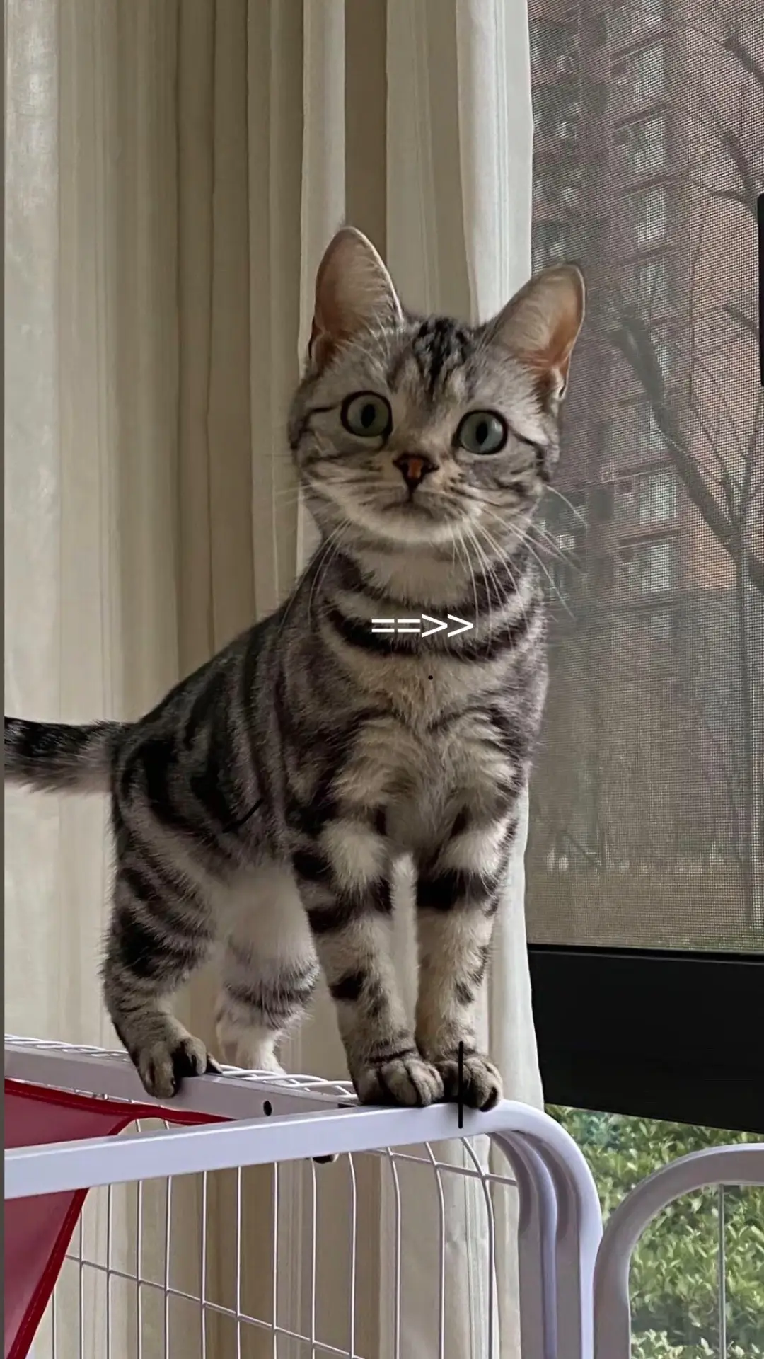 #xuhuong #cosplayer #douyin抖音 #douyin 