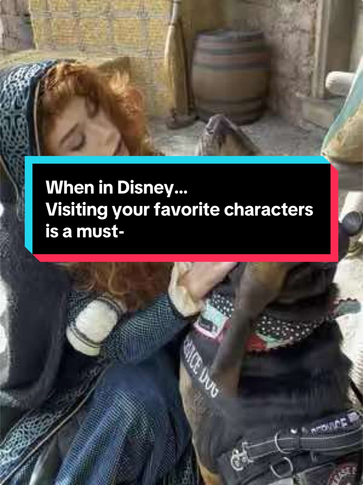 When one visits your favorite princess, you must take advantage of all the chin scratches in the world. We ❤️ Merida.        Please remember only task trained service dogs are allowed inside the Disney parks. These dogs are specially trained for many years to handle this job and while we don’t normally allow interaction, snuggles from the characters for a job well dog is a mighty fine way to reward them. #servicedog #disney #disneyworld #pixar #waltdisneyworld #bloodhound #disneydog #fyp #princess