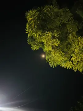মানুষ হারায়,সম্পর্ক হারায়, অভ্যাস হারায়, হারায় না শুধু মায়া, আর স্মৃতি  |❤️‍🩹 #shishir_baby_69  #foryou 