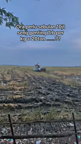 Kabeh nek di syukuri,akeh hasil e,alhamdulillah🤲🏻🤝 #petanimuda#petanimilenial #bakolgabah#petanimodern #gabahbalap#petaniindonesia🇮🇩🇮🇩🇮🇩🌿🌿#gabah#pengusahamuda#gabahbalap🌾#petani#bandargabah#combineharvester#Bimo#maxxi 