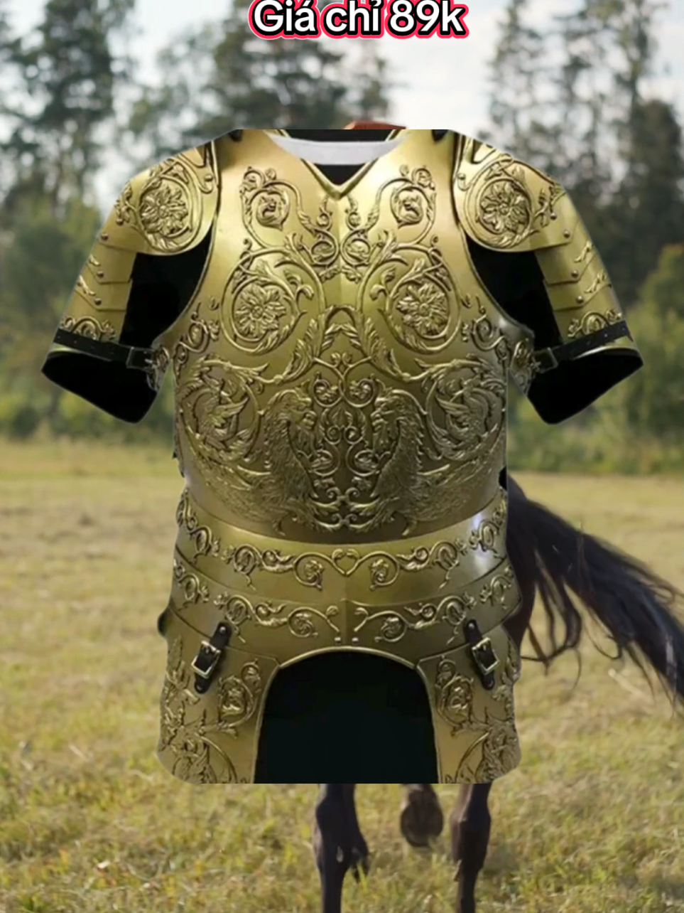 Áo Giáp Anh Hùng Thời Trung Cổ chất liệu thun in 3d cao cấp. #aothunin3dsieungau #aogiaptuongquan #aothundocla #aothunchienbinh 