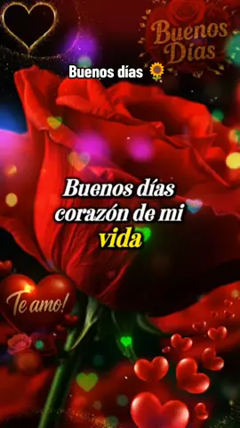 Buenos días corazón de mi vida #CapCut #frasesparadedicar #cosasdeparejas #promesadeamor #romance #frases #frasesparacompartir #buenosdias #usa🇺🇸 