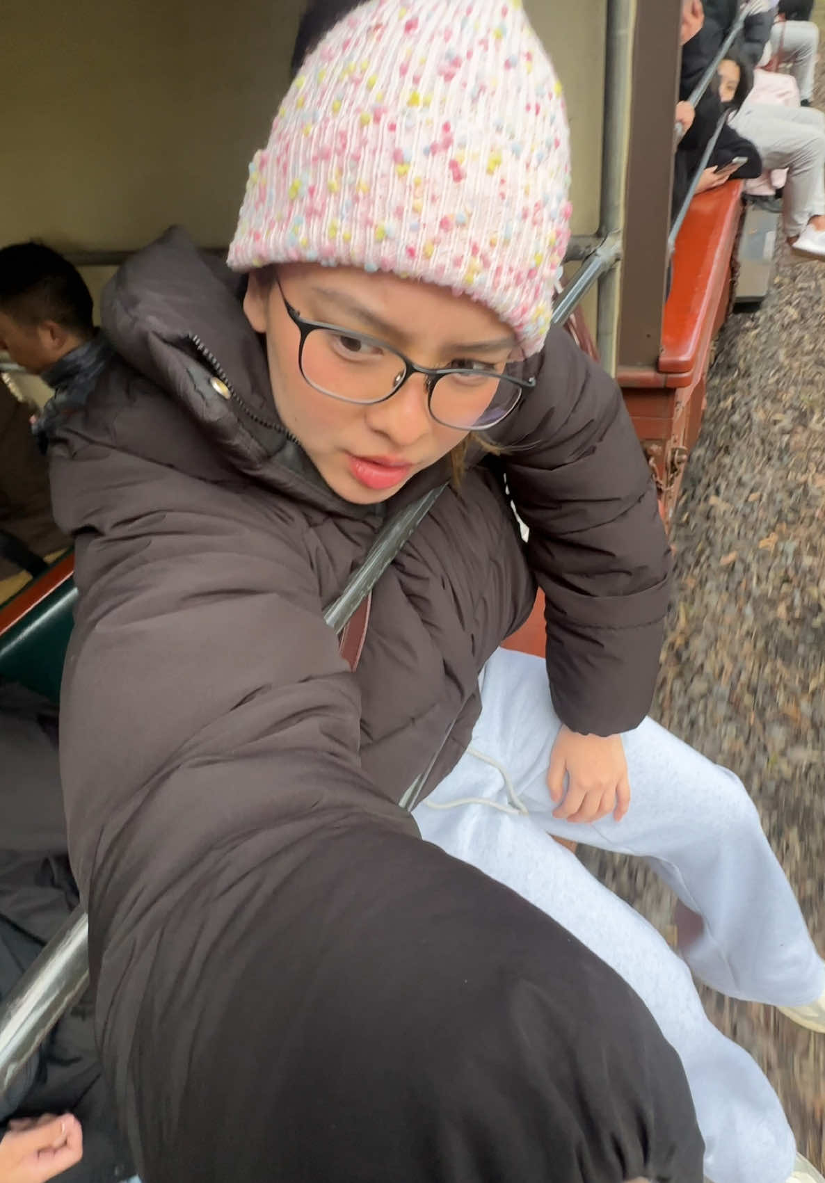 Have you ever tried riding a train this way? 🥶 #PuffingBillyRailway 