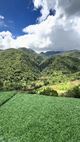 Don Salvador Benedicto #dsb #negrosoccidental ##philippines 