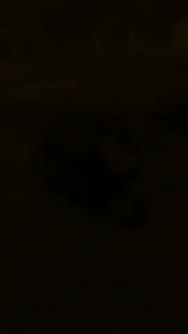 #CapCut #vario #androidmaksahd #android #vario160 #vario160modifikasi #fyp #masukberandafyp 