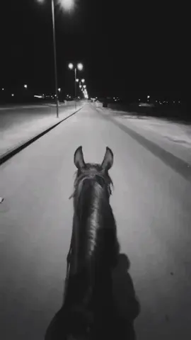 #explore #fyp #هواجيس #yyyyyyyyyyyyyyyyyy #الخرج #الخرج #خيل_وخياله🐎 