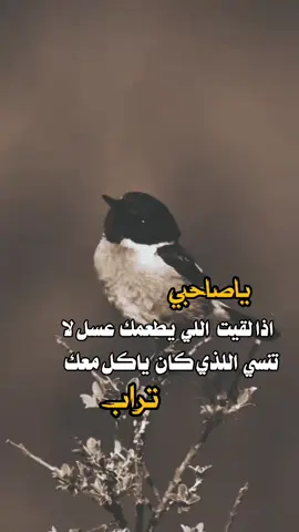 #تصميم_فيديوهات🎶🎤🎬 #اكسبلورexplore #عبارات_جميلة_وقويه😉🖤 #هاشتاق #تصميمي 