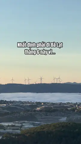 Nhất định phải đi Đà Lạt tháng 6 này vì… #dulichdalat #dalat #thoitietdalat #quancaphedalat #dalatangi #homestaydalat #khachsandalat #sanmaydalat 