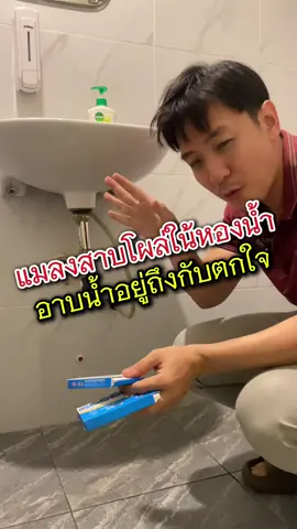 แมลงสาบโผล่ในห้องน้ำตอนอาบน้ำเจอแบบนี้ถึงกับช็อค 🐈‍⬛#วิ#วิธีกําจัดแมลงสาบ#แมลงสาบ#เจลกําจัดแมลงสาบ#ยากําจัดแมลงสาบ#กําจัดแมลงสาบาจัดแมลง