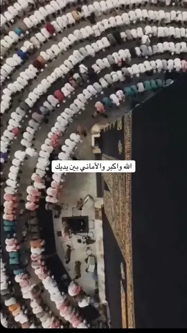 رتبوا أمانيكم وانثروا دعواتكم وارفعوا كفوفكم  #يوم_عرفة #لبيك_اللهم_لبيك_لبيك_لا_شريك_لك #مكة #الحج 