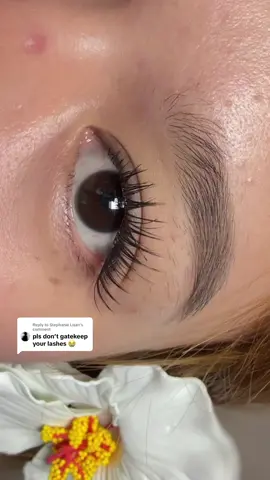 Replying to @Stephanie Lisan i wontttt, here u goooo! #clusterlashes #eyelashes #bqilashes #bqi #fakelashes #idollashes #lashes #makeupph #BeautyTok 