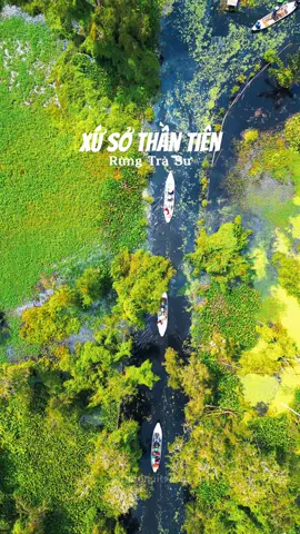 Về Rừng Tràm Trà Sư để thấy được cảnh đẹp trong mơ của An Giang #travel #traveltiktok #dulichvietnam #travelvietnam #angiang #67angiang 