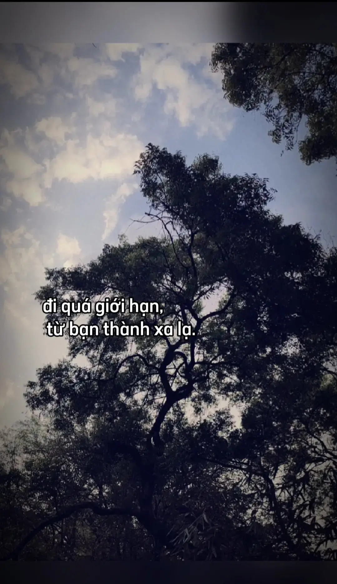 #xuhuong #xuhuong #pl #buon #thatvong 