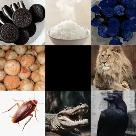 do you know who they are? 😋 #kecoa#buaya#mawarbiru#singa#oreo#nasi#cimol#gagak#myhusband😋💐 #myhusbu #4u #fypシ #BlueLock #bluelock 