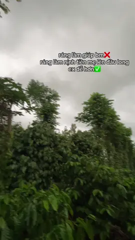 ☺️:))#siriusđộkiểng #xuhuong 