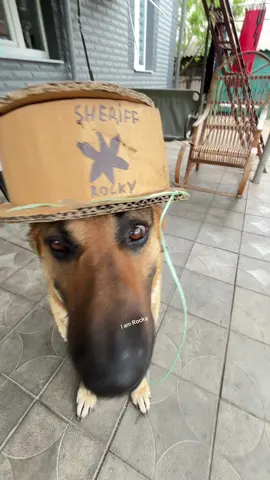 restore this hat?