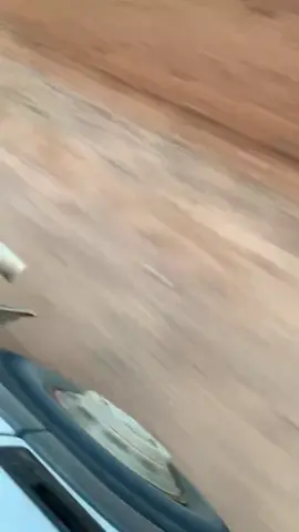 Postingan terakhir bersama logging PT.SARPATIM