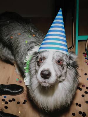 ลบส่วนเกินในรูปภาพงานปาร์ตี้ในสัมผัสเดียวด้วยการลบแบบเจนเนอเรทีฟใน Lightroom