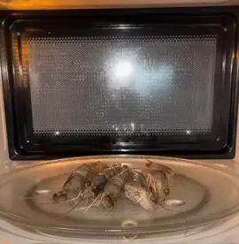 Microwave VS Shrimps 🍤🍣🍱🔥 What's next?#shrimp #sea #ocean #seafood #microwave 